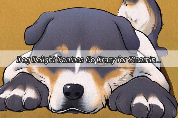 Dog Delight Canines Go Crazy for Steaming Buns in This Heartwarming Tale